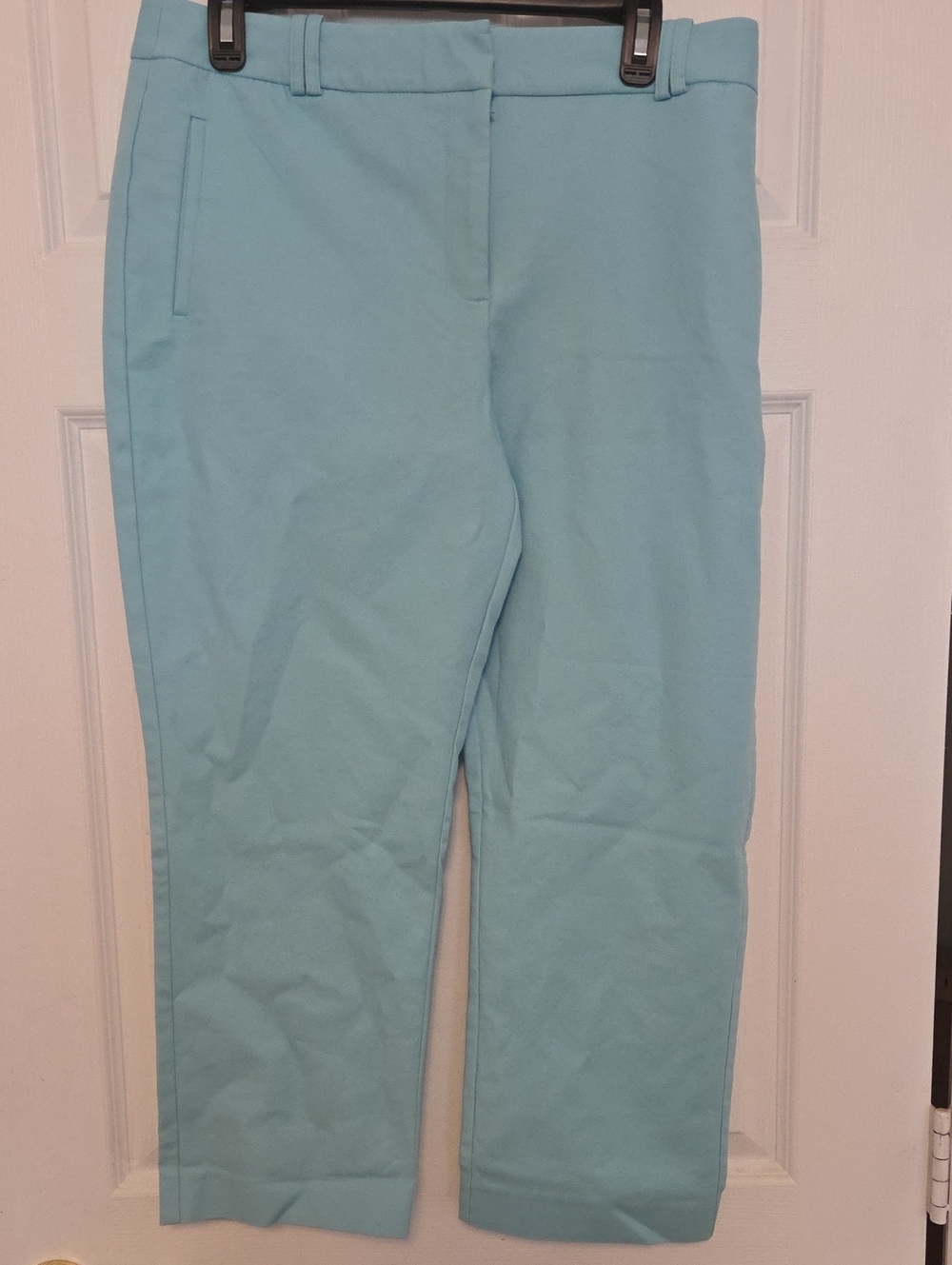 Light Blue Women's Cropped Pants Pastel Blue Size 12
